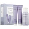 Ban Brassiness Mini Transformation Kit
