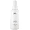Detangling and Frizz Fighting Leave in Conditioner