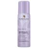 Mini Style + Protect Refresh & Go Dry Shampoo